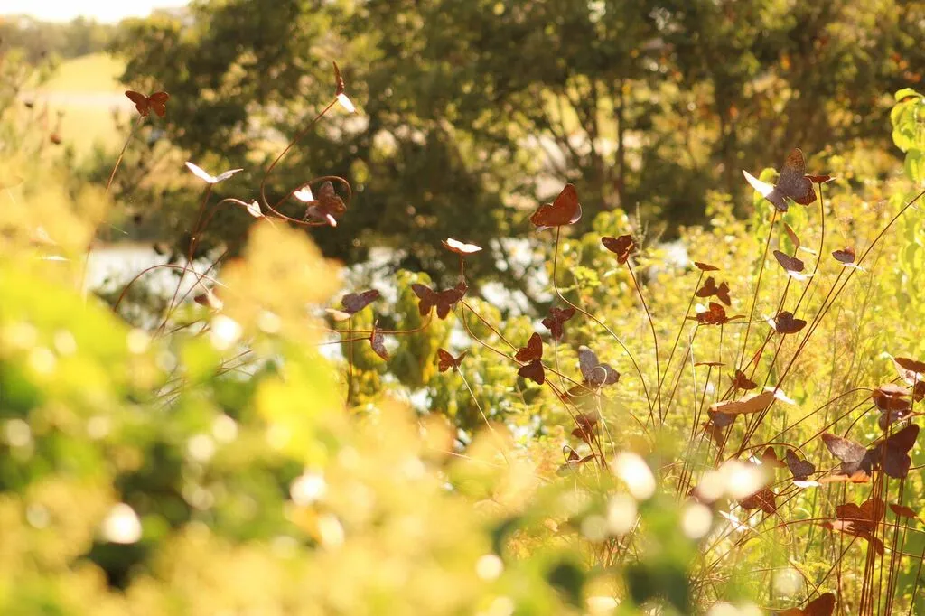 A MIGRATORY EXPERIMENT OKLAHOMA CITY ZOO - Butterflies Metal Sculpture Artist (5)