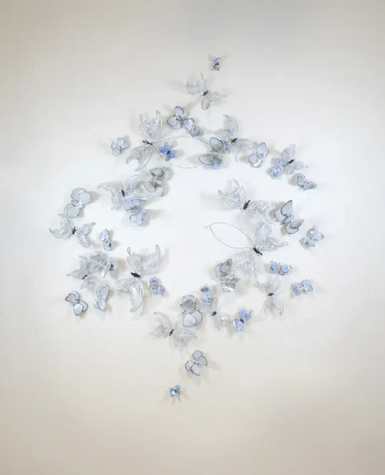 Mina The Lovely & Morey The Moth